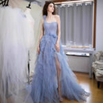 Sheer tulle maxi dress evening gown.