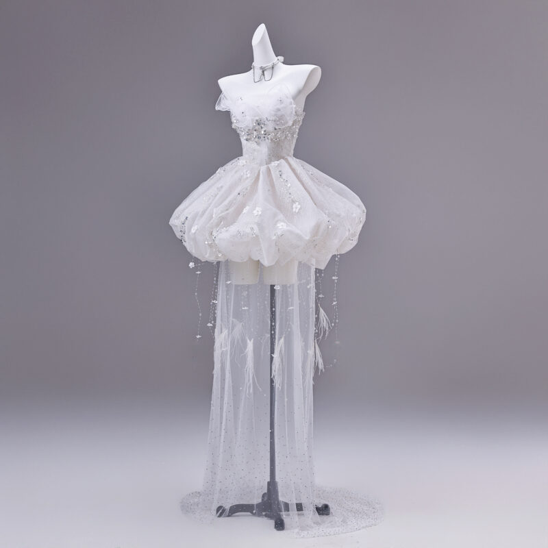 Short tulle skirt with a train Evening Dress