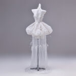 Short tulle skirt with a train Evening Dress