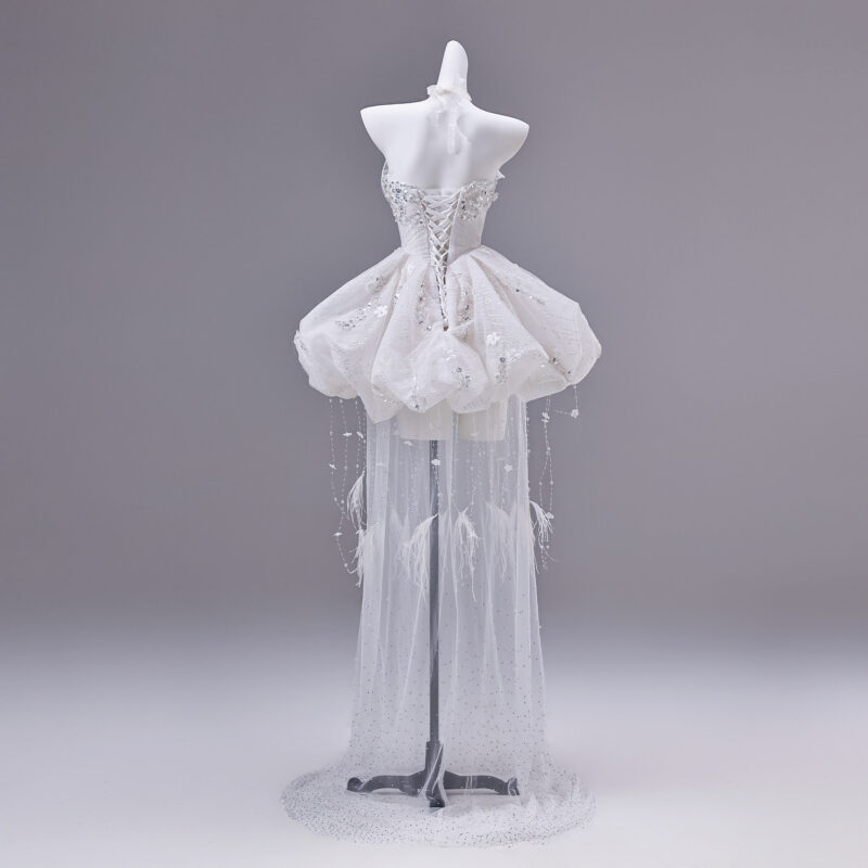 Short tulle skirt with a train Evening Dress